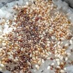 Crema de arroz con semillas de chía |  Alto en proteína |  Tazón de desayuno